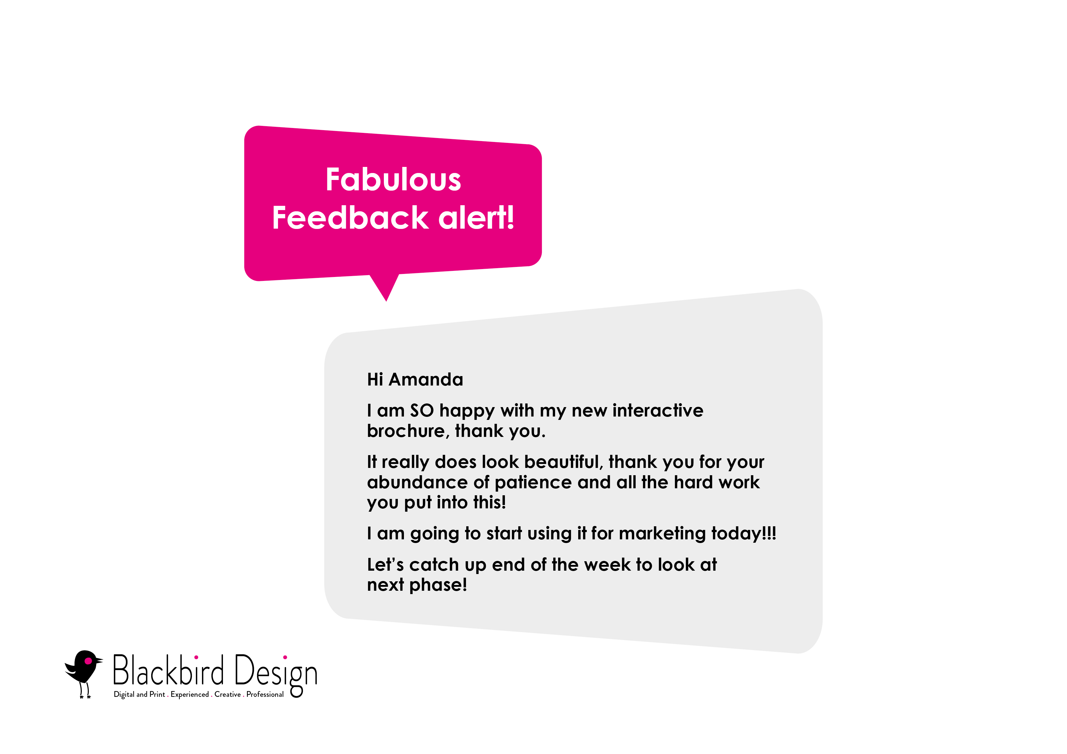 Blackbird Design. Client Feedback